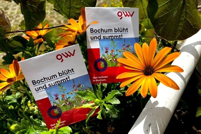 220713_samentueten_web