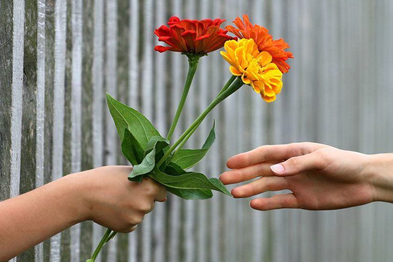 Blumengruß_svklimkin_Pixabay_1280_web