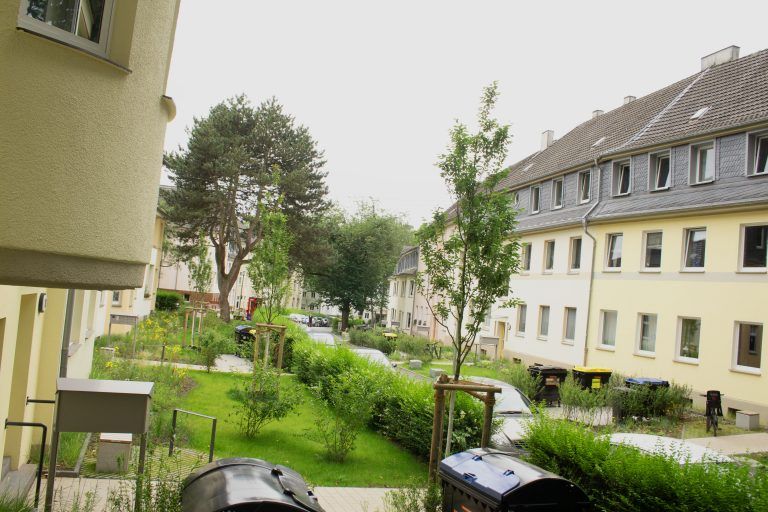 240620_BV Erbhof_IMG_7351