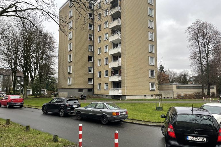 Am_Dornbusch_Vorher (1)