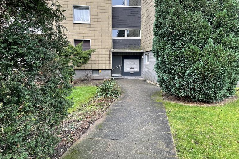 Am_Dornbusch_Vorher (3)