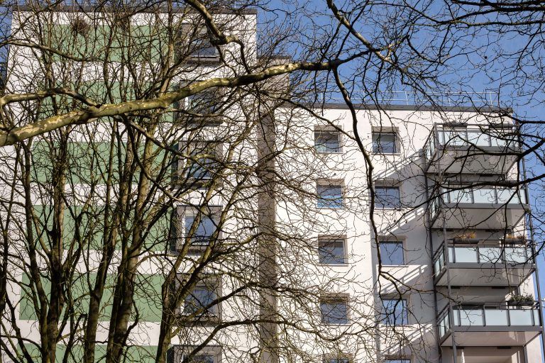 am_dornbusch_11_0089_300mm_300dpi