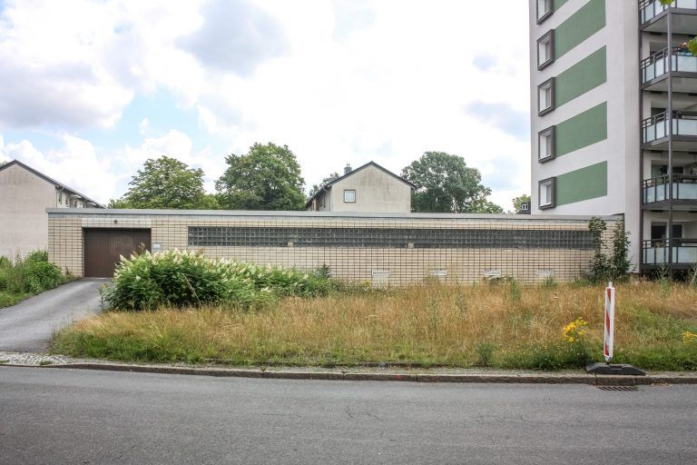 250724_Am_Dornbusch_3701