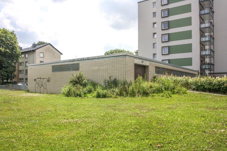 250724_Am_Dornbusch_3706