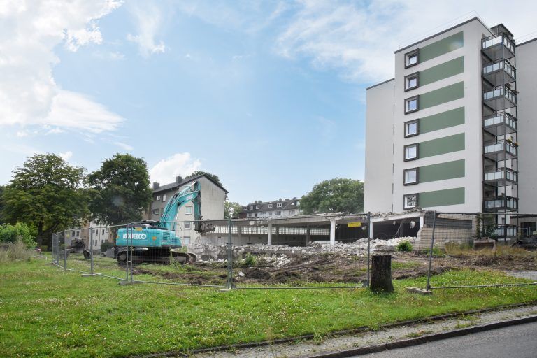 250730_Am_Dornbusch_9365