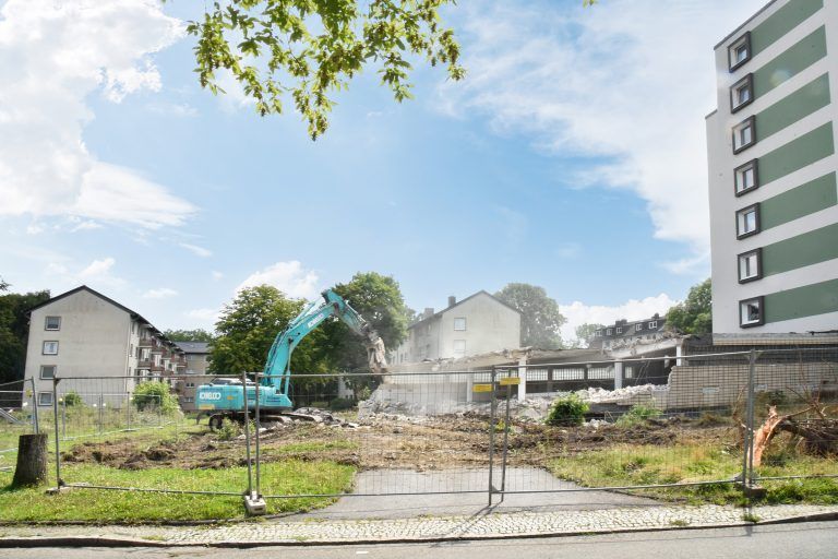 250730_Am_Dornbusch_9368