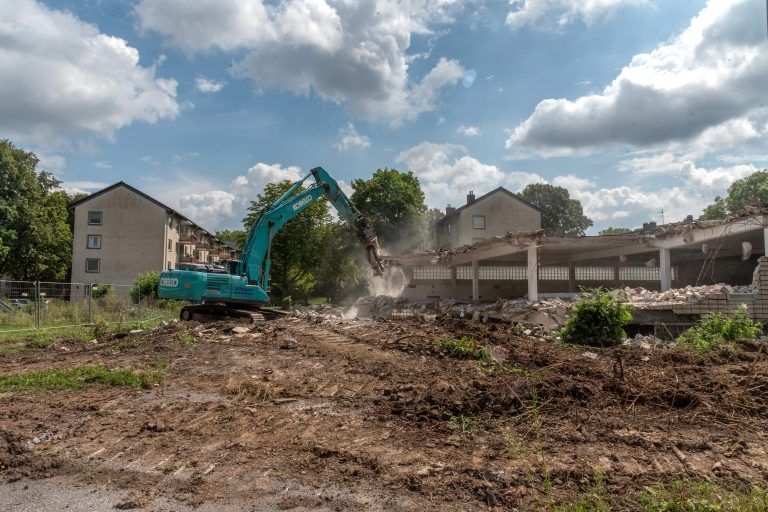 250730_Am_Dornbusch_9370