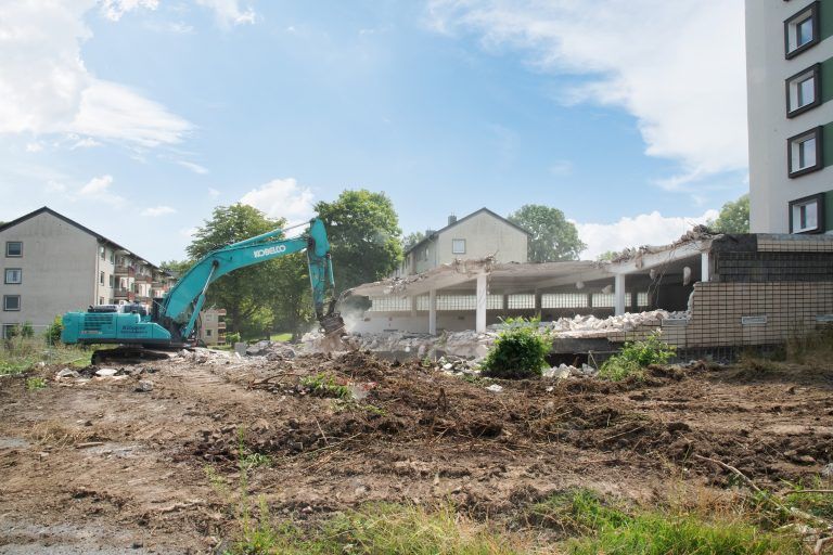 250730_Am_Dornbusch_9373