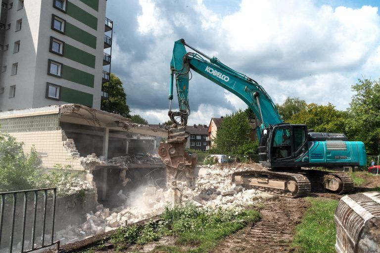 250730_Am_Dornbusch_9383