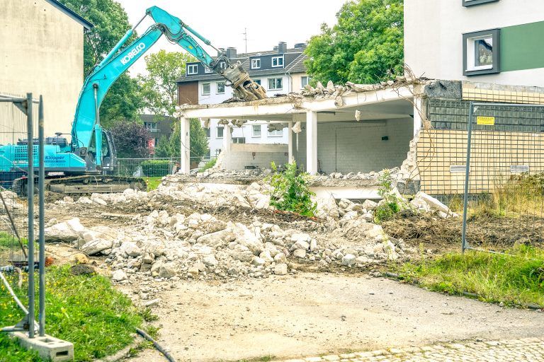 250805_Am_Dornbusch_0473