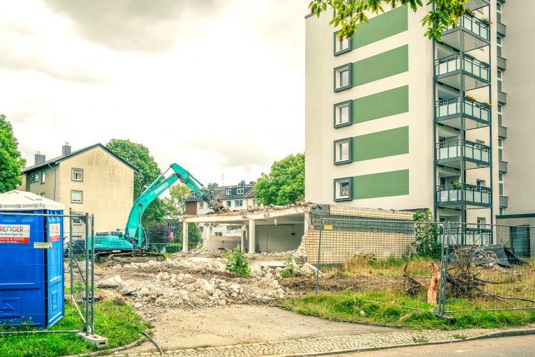 250805_Am_Dornbusch_0474