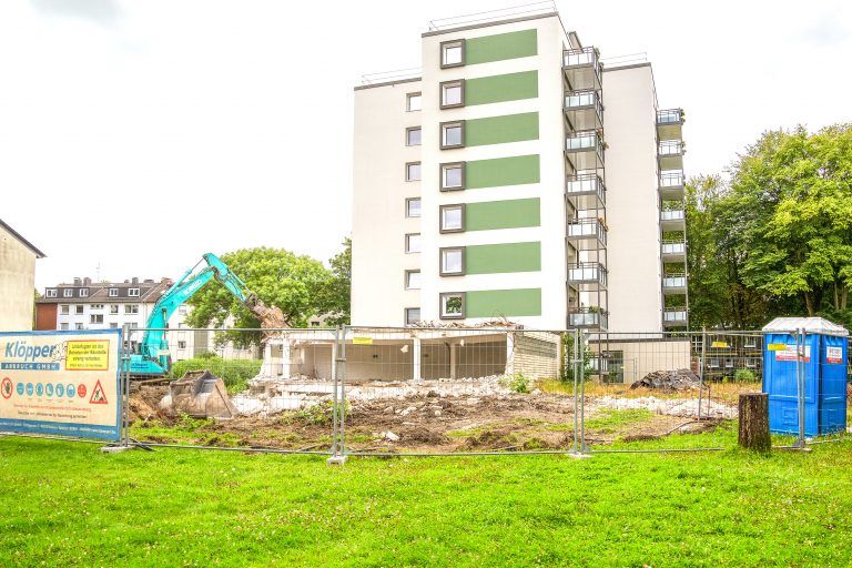 250805_Am_Dornbusch_0476