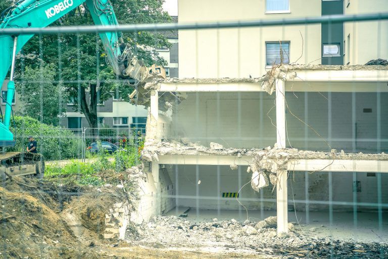 250805_Am_Dornbusch_0483