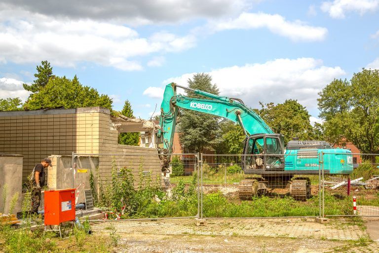 250805_Am_Dornbusch_0494