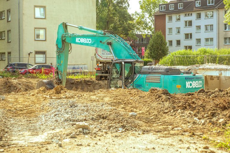 250812_Am_Dornbusch_0506