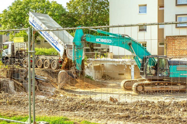 250812_Am_Dornbusch_0510