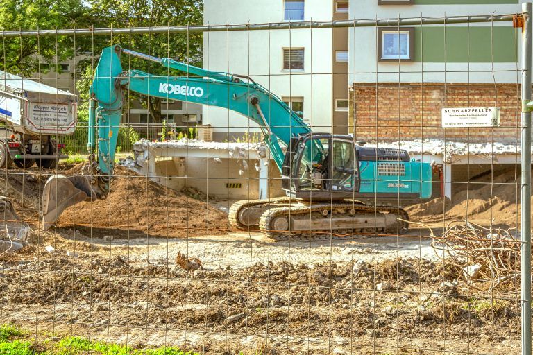 250812_Am_Dornbusch_0520