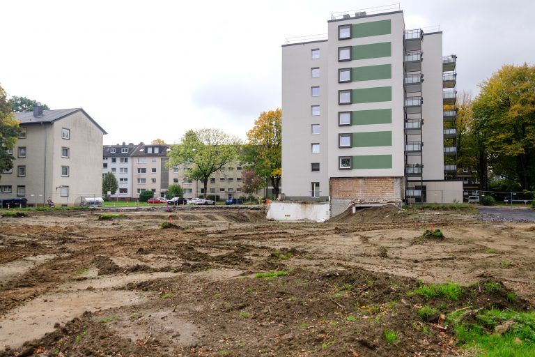 251010_Am_Dornbusch_300mm x 300dpi_9956 Kopie