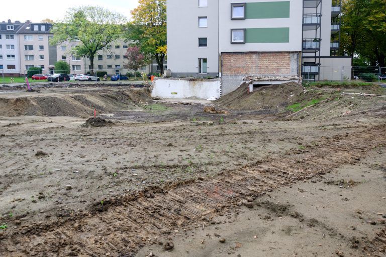 251010_Am_Dornbusch_300mm x 300dpi_9959 Kopie