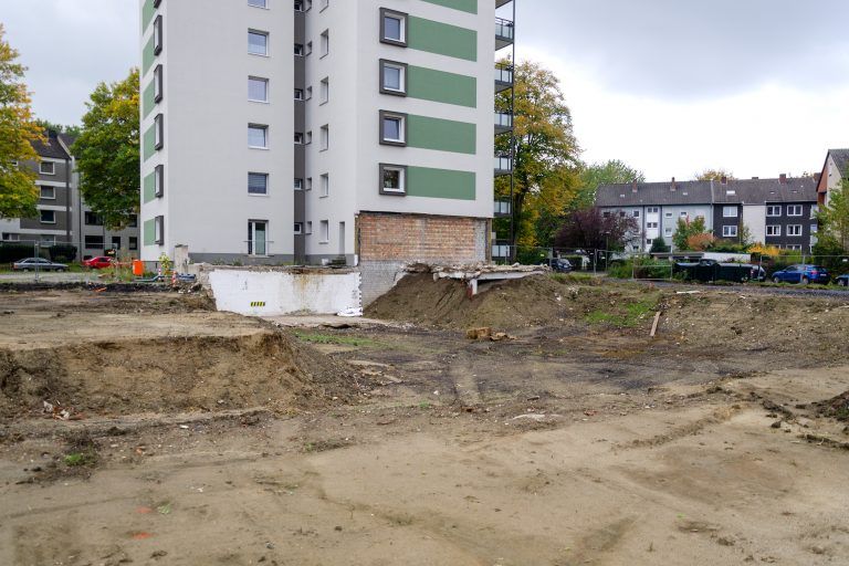 251010_Am_Dornbusch_300mm x 300dpi_9963 Kopie