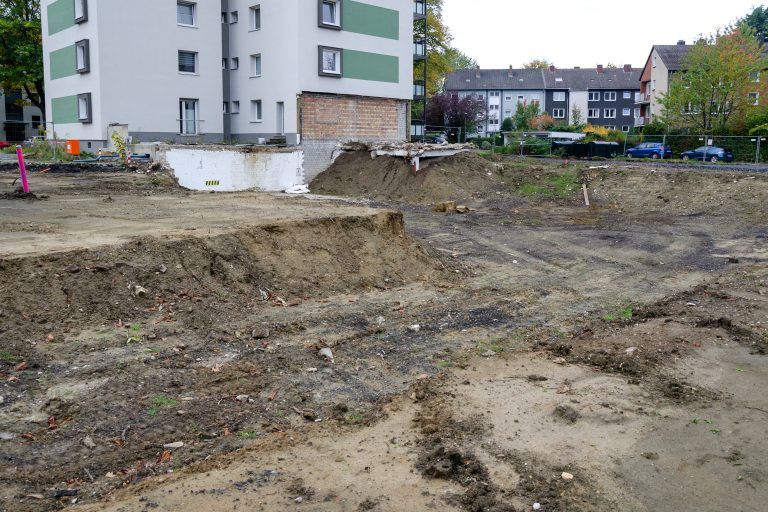 251010_Am_Dornbusch_300mm x 300dpi_9964 Kopie