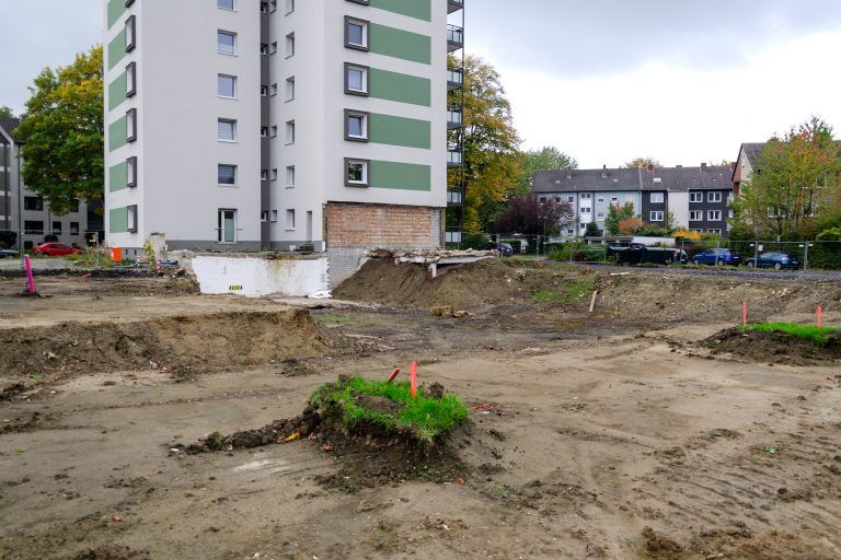 251010_Am_Dornbusch_300mm x 300dpi_9966 Kopie