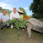 GWV_Tierpark_9759